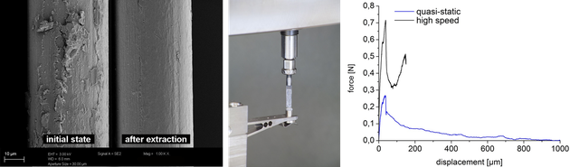 AR-glass fiber surface properties and pullout behavior