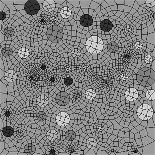 Finite Element discretization with explicit aggregate representation