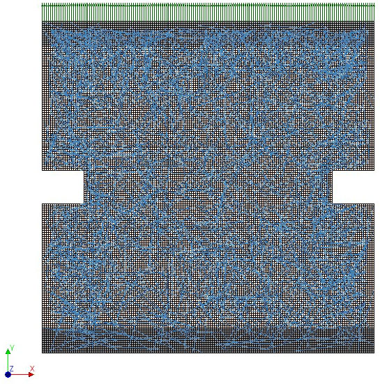 Mesh properties and boundary conditions in 2D simulation of an SHCC specimen