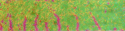 2D crack pattern from photogrammetric image sequence analysis