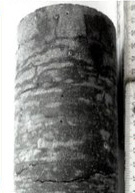 A cracked specimen of high-strength strain-hardening cement-based composites (SHCC) after being tested under tensile impact in the Hopkinson bar
